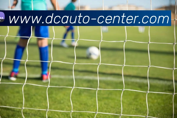 亚虎体育平台生态图