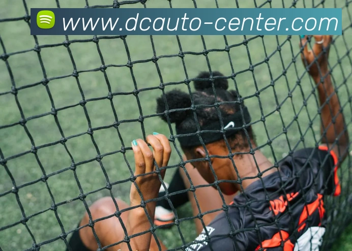 亚虎体育平台生态图